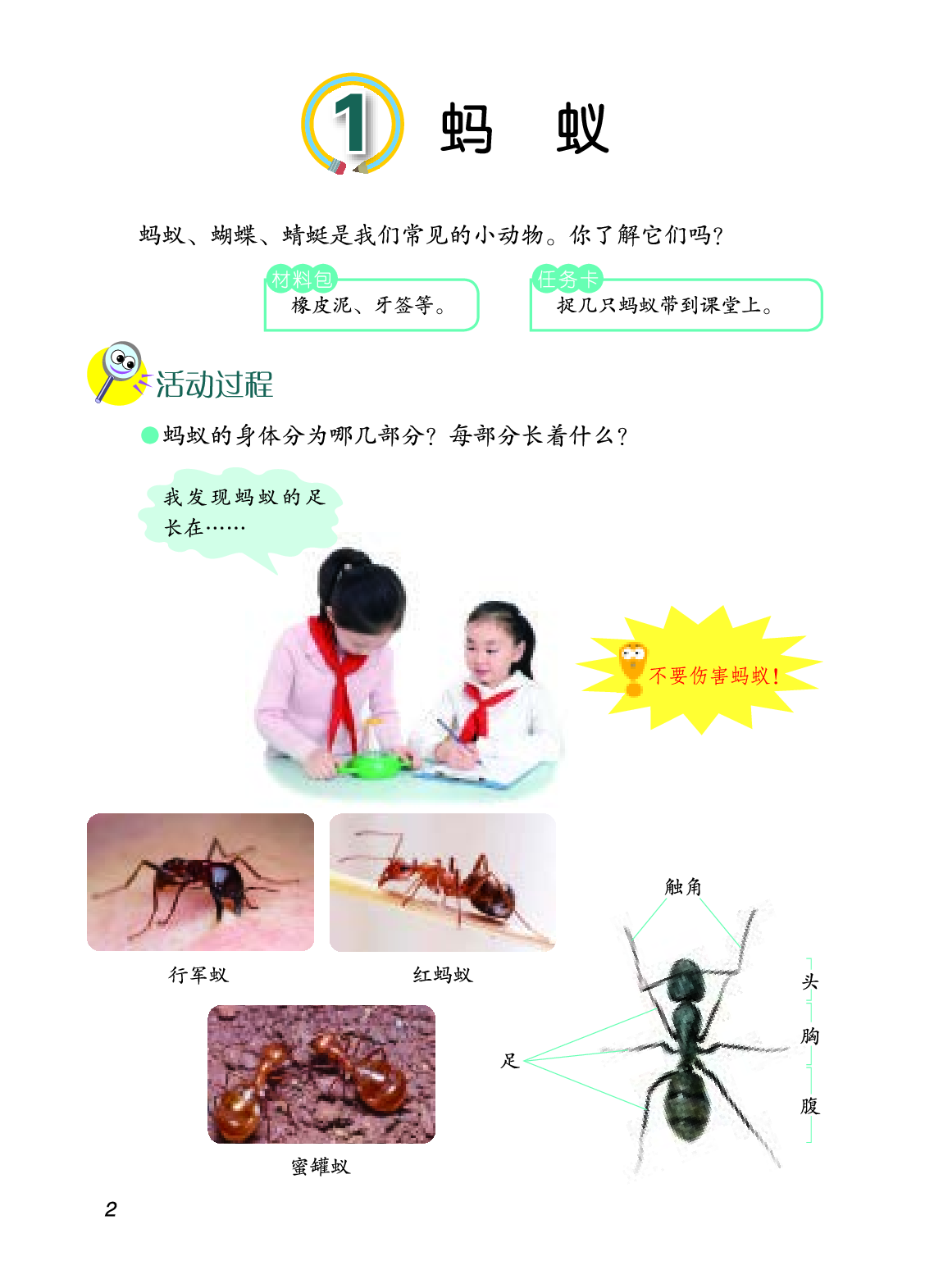四年级上册科学青岛版五四制电子课本.pdf 第6页
