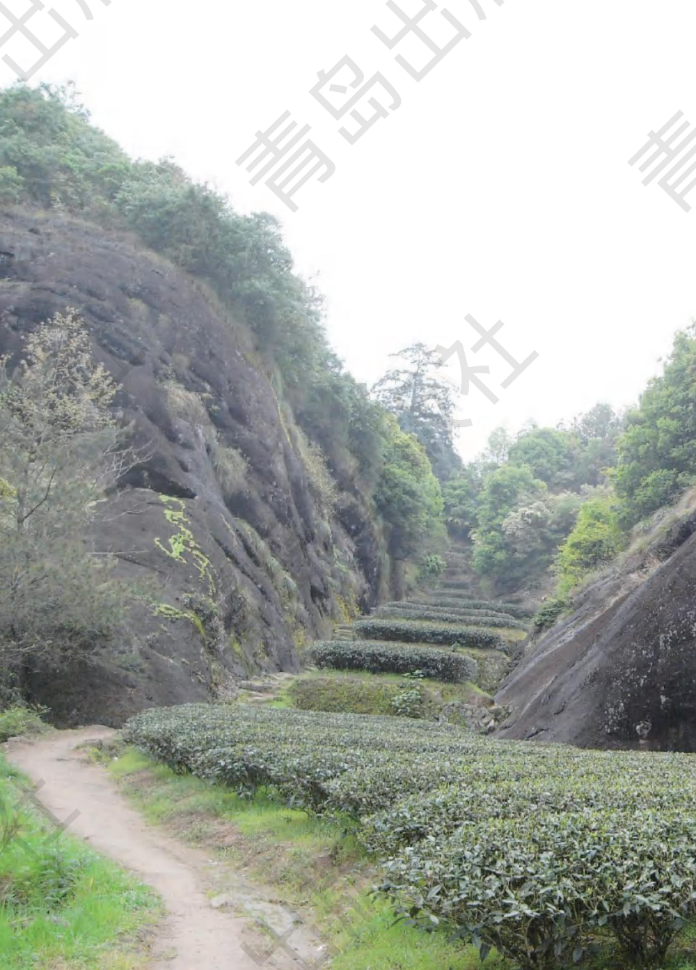 三年级下册科学青岛五四制电子课本.pdf 第3页