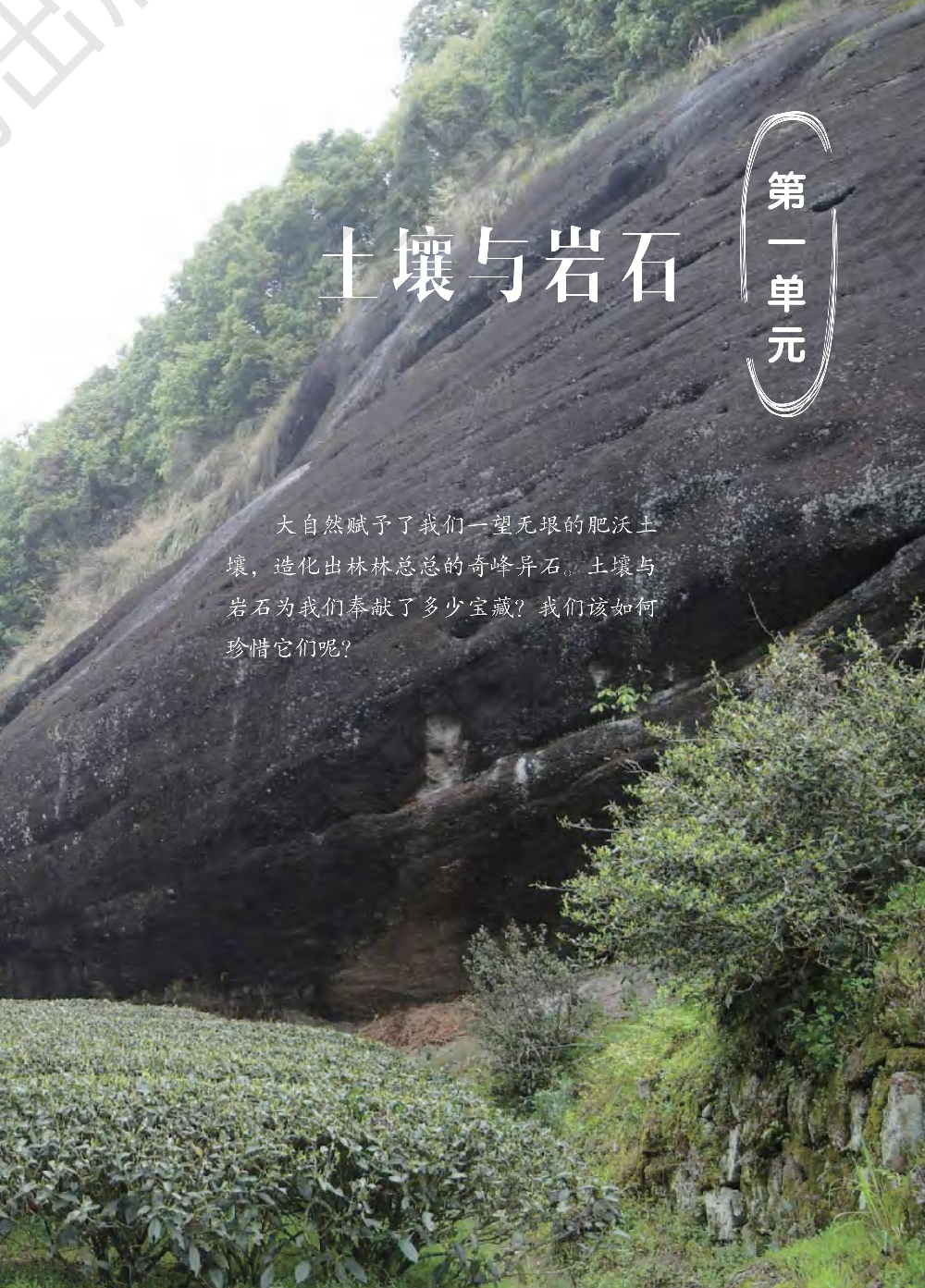 三年级下册科学青岛五四制电子课本.pdf 第4页