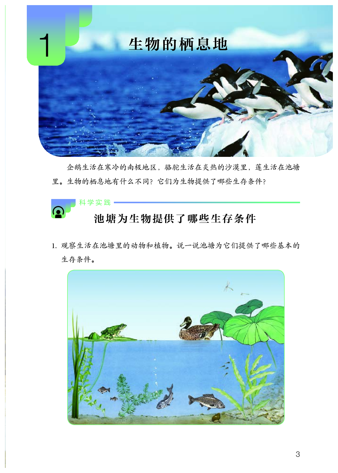 人教版6年级科学下册【高清教材】.pdf 第6页