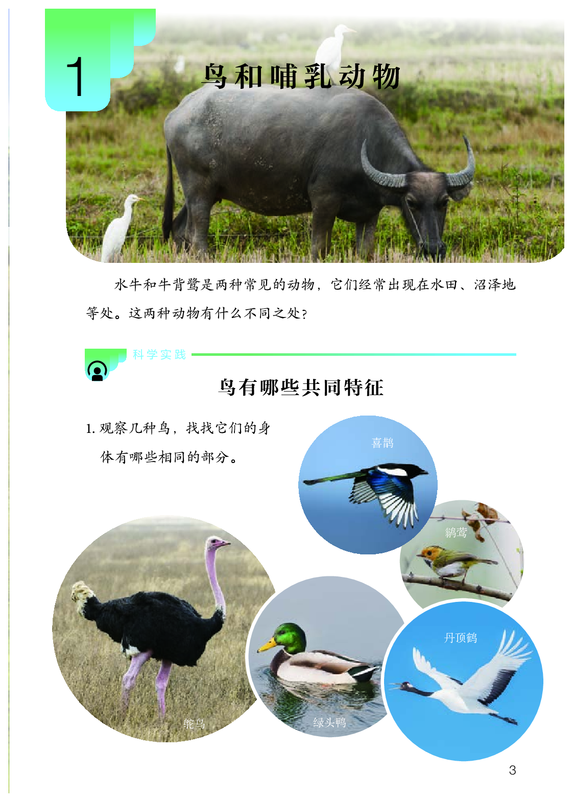 人教版4年级科学上册【高清教材】.pdf 第6页