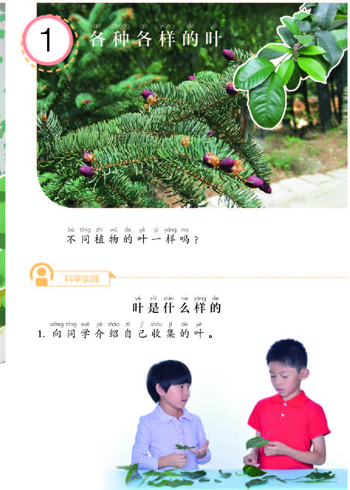 人教版1年级科学下册【高清教材】.pdf 第5页