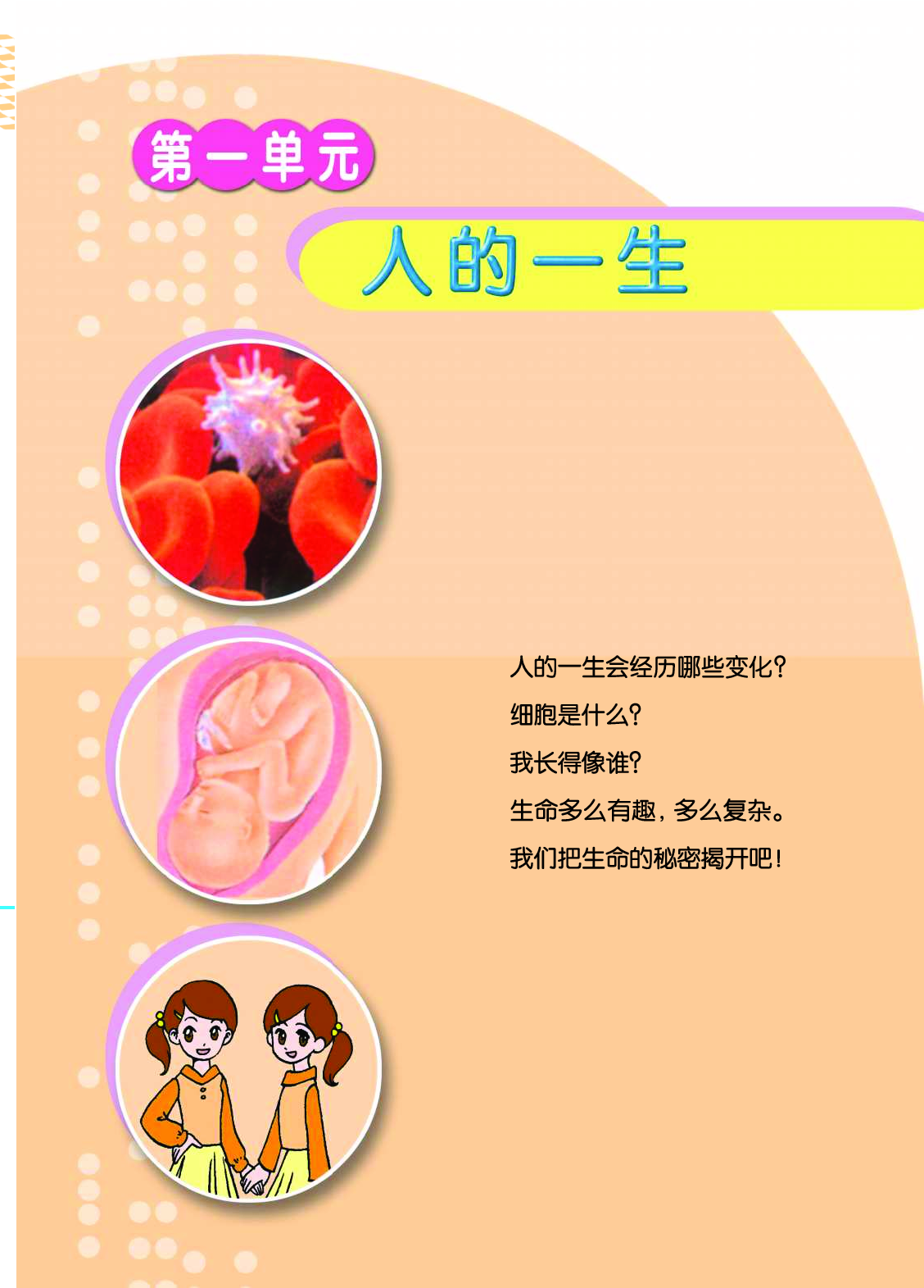 青岛版6年级科学下册【高清教材】.pdf 第5页