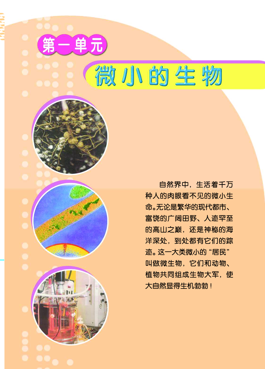 青岛版6年级科学上册【高清教材】.pdf 第5页