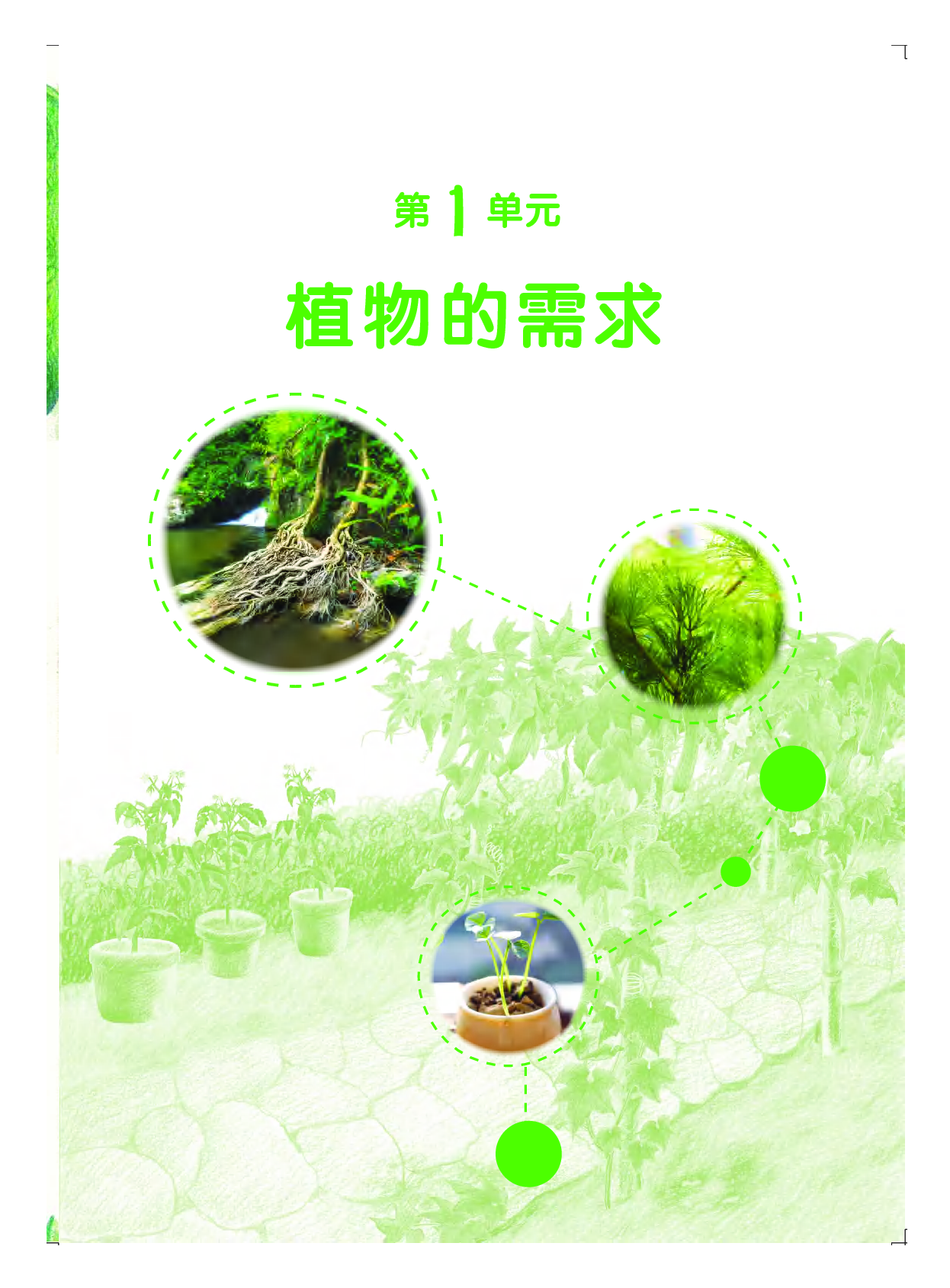 粤教版5年级科学上册【高清教材】.pdf 第6页