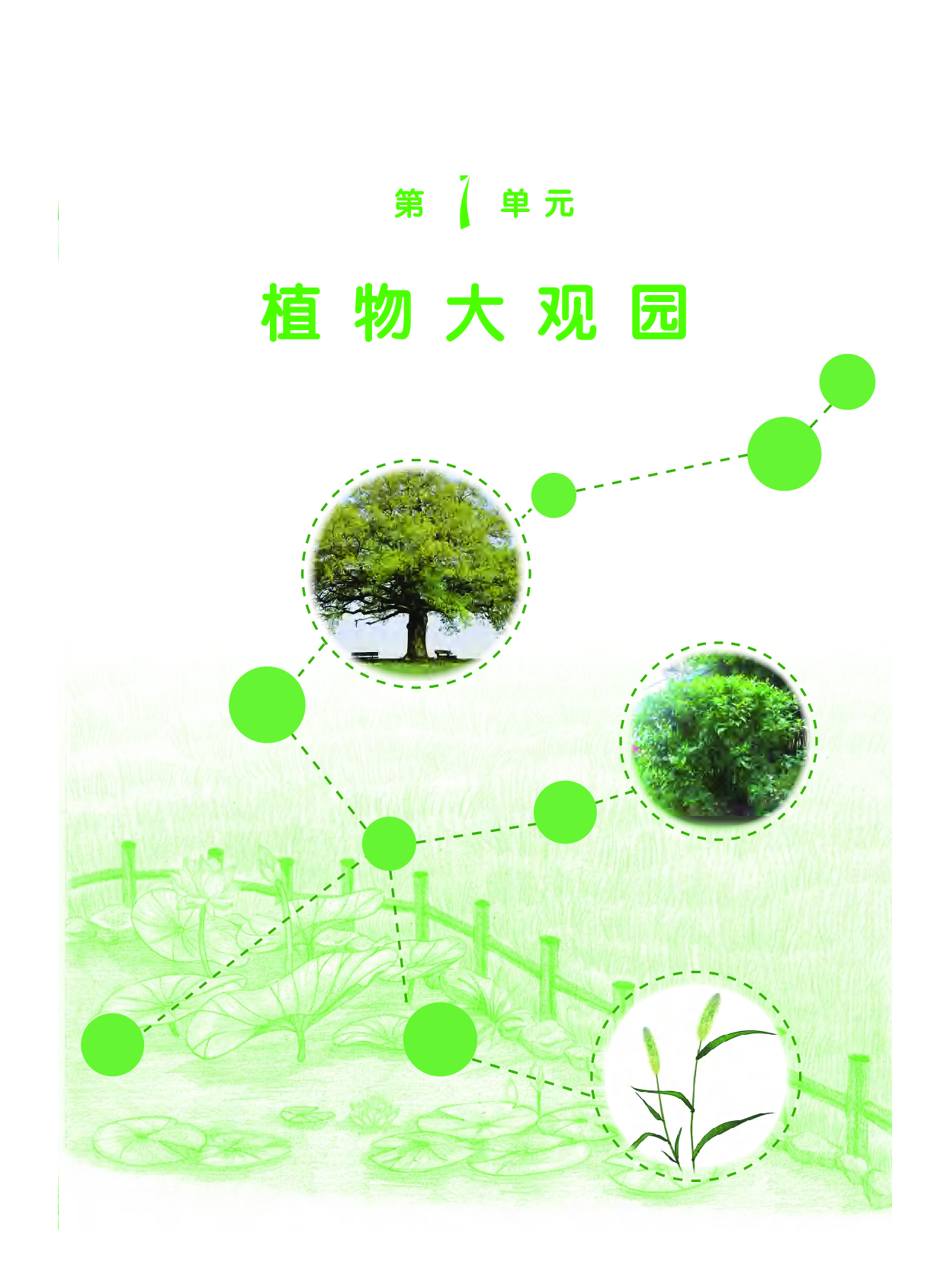 粤教版4年级科学下册【高清教材】.pdf 第5页