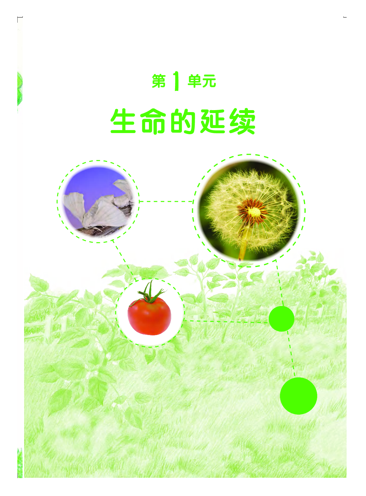 粤教版4年级科学上册【高清教材】.pdf 第6页