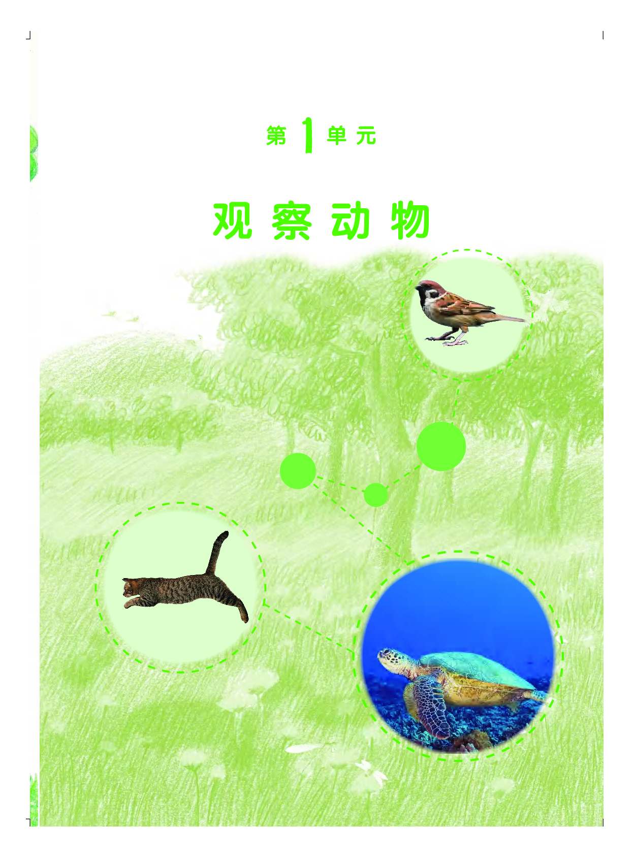 粤教版3年级科学上册【高清教材】.pdf 第6页