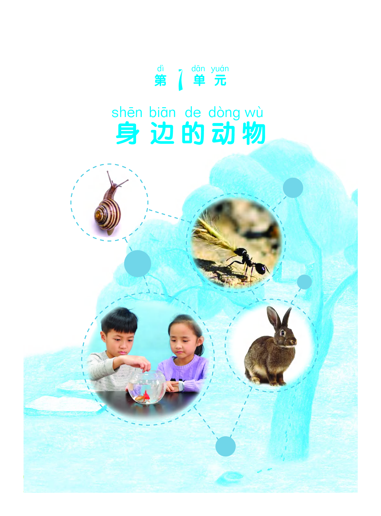 粤教版2年级科学下册【高清教材】.pdf 第6页