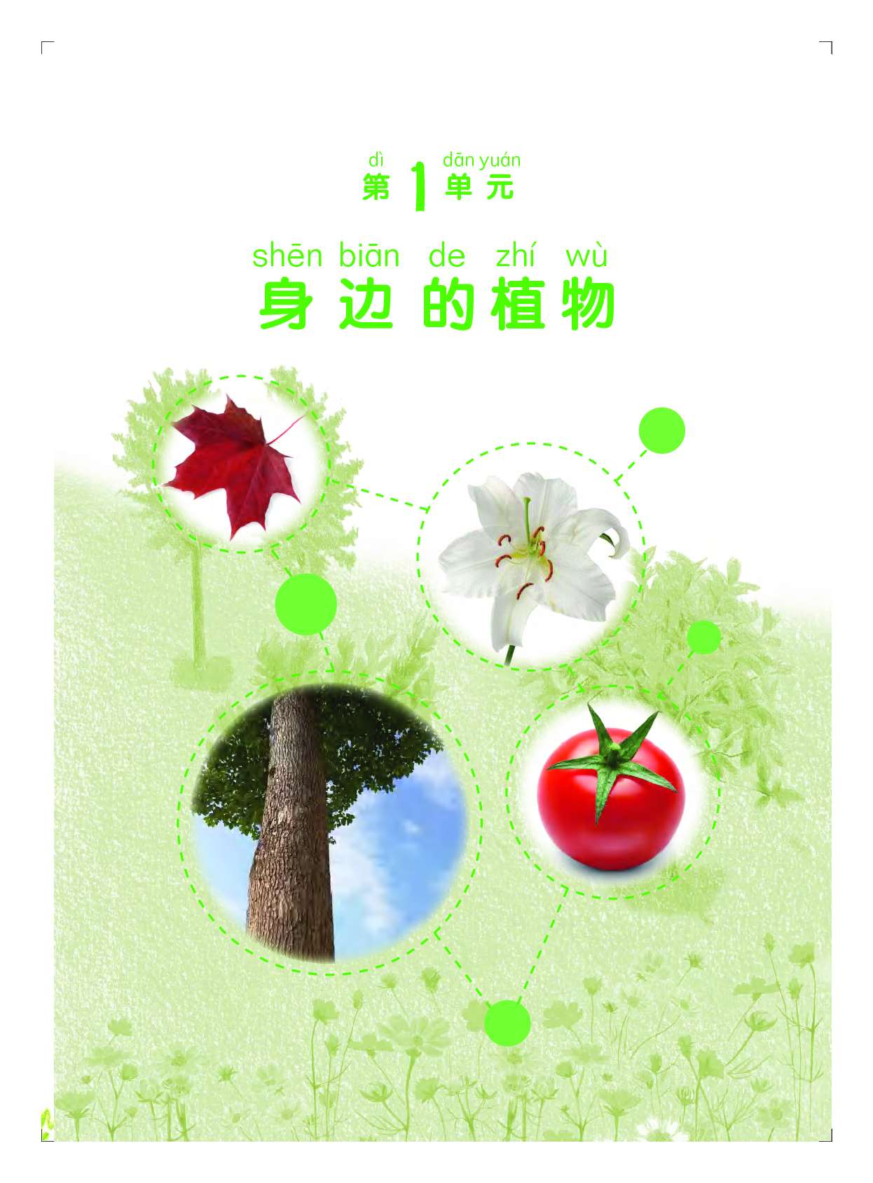 粤教版2年级科学上册【高清教材】.pdf 第6页